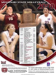 Volleyball Poster
